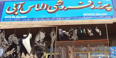 لوگوی پرزه فروشی الماس آبی