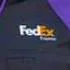 لوگوی Fedex Wsc