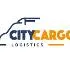 Karim Azizi logistic Company logosu