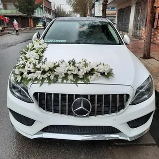 د sorosh fresh flower shop لوګو