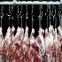 Burhanuddin Butcher logosu