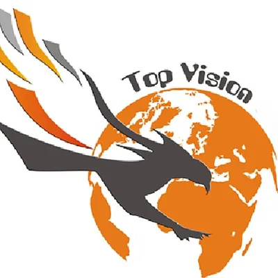 Top Vision Group
